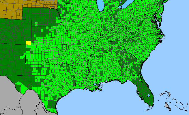 The range of Salix nigra